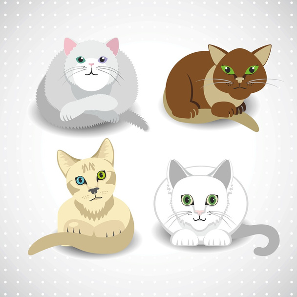 Симпатичная серия иллюстраций кошки
 - Вектор,изображение