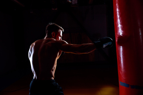 Boxer and punching bag - Photo, image
