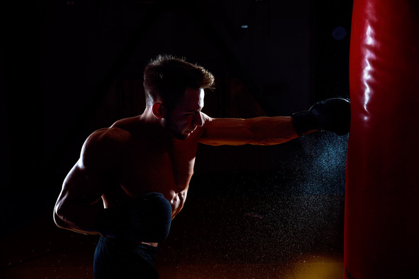 Boxer and punching bag - Photo, Image