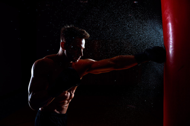 Boxer and punching bag - Fotografie, Obrázek