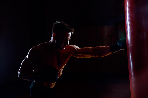 Boxer and punching bag - 写真・画像