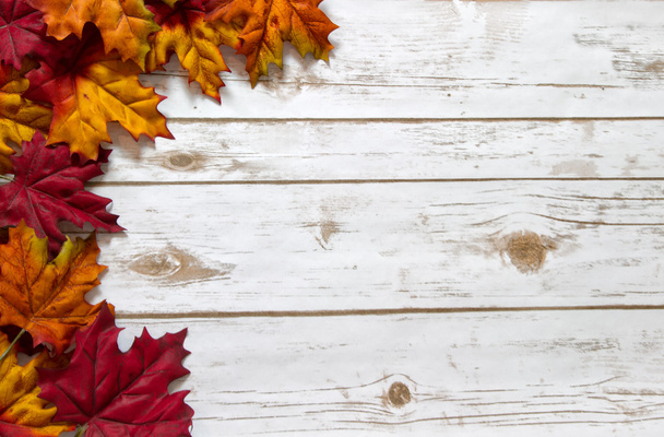 Herbst- und Herbstblätter auf einer weiß getünchten Holzdiele - Foto, Bild