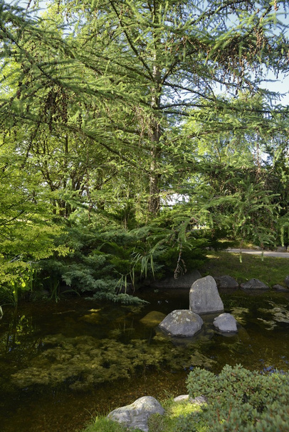 Jardín Japonés en verano
 - Foto, Imagen