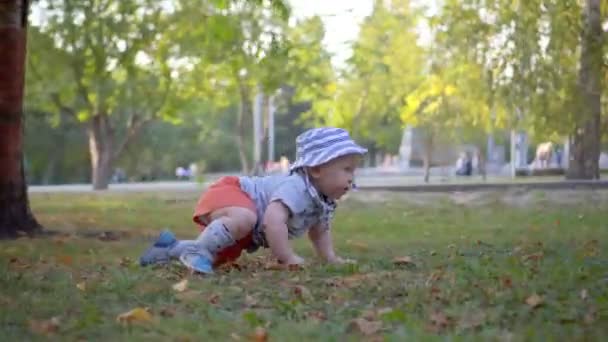 Baby in panama crawling on the grass in the park. The camera flies around. Steadicam. - 映像、動画