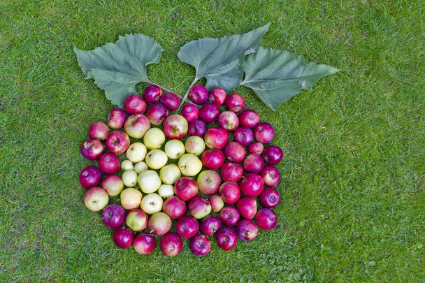 Äpfel aus Äpfeln - Foto, Bild