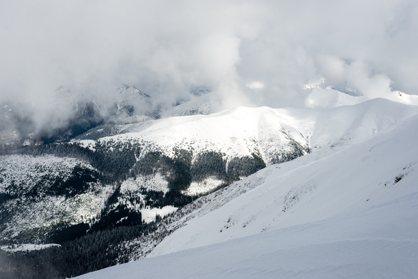 гірські вершини взимку вкриті снігом
 - Фото, зображення