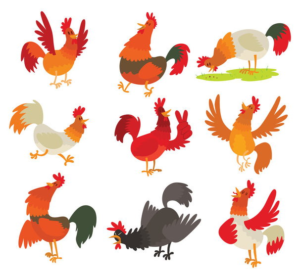 Lindo dibujo animado gallo polla carácter vector
 - Vector, imagen