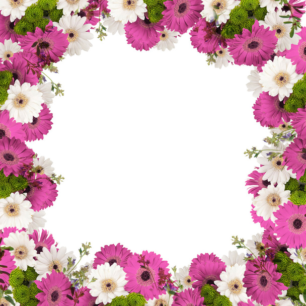 frame with color daisies  - Fotó, kép