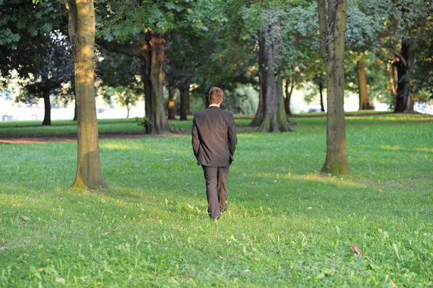Walking in the park. - Fotoğraf, Görsel