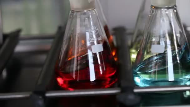 Kolven met kleurrijke chemische stoffen op het laboratorium voor Farmacotechnologie - Video