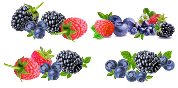 Collection of berry isolated on white  - 写真・画像