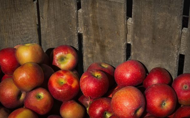 Apples in a wooden crate - Photo, Image