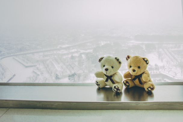 Прекрасная пара медведей сидеть вместе у окна
 - Фото, изображение