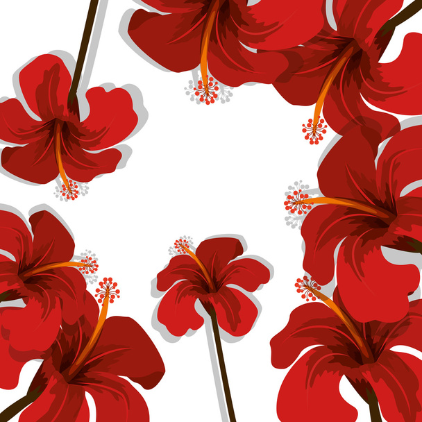 tropical flowers design - Wektor, obraz