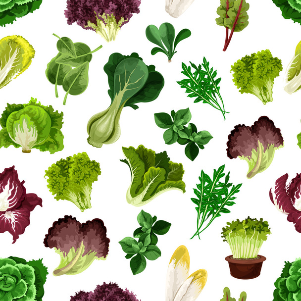 Salad greens and leafy vegetables pattern - Vector, Image