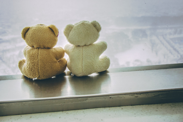Прекрасная пара медведей сидеть вместе у окна
 - Фото, изображение