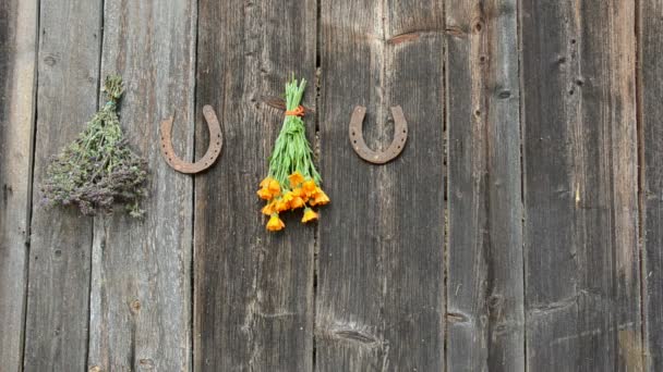 Colgar hierbas medicinales en la pared de madera y herradura
 - Imágenes, Vídeo
