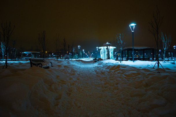 Вид на парк в зимову ніч  - Фото, зображення