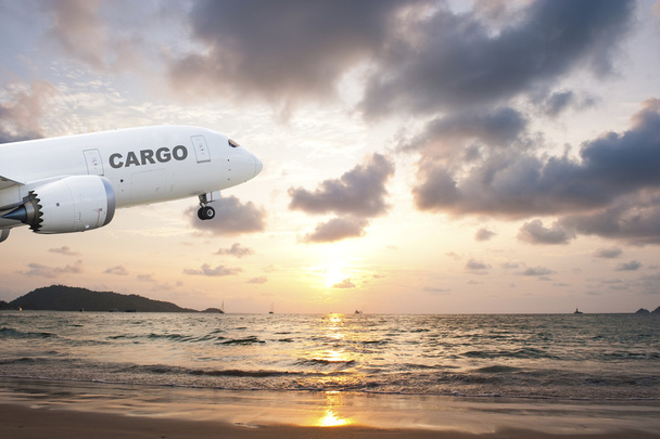 Cargo airplane taking off at sunset - 写真・画像