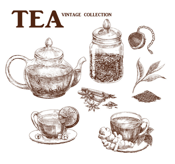Tea kézzel rajzolt készlet - Vektor, kép