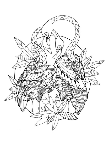 Libro para colorear pájaro flamenco para adultos vector
 - Vector, Imagen