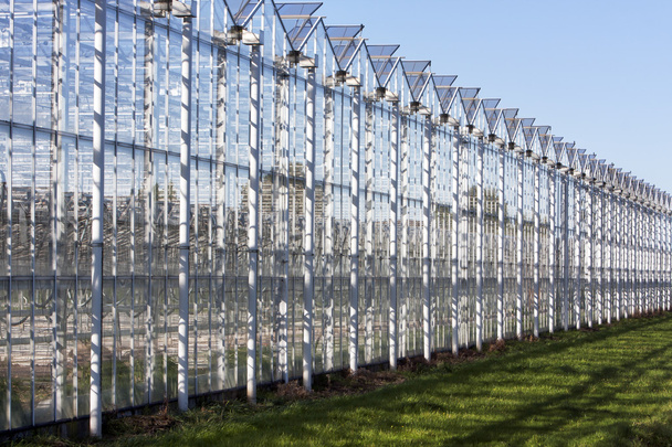 skleníkové v westland v Nizozemsku - Fotografie, Obrázek