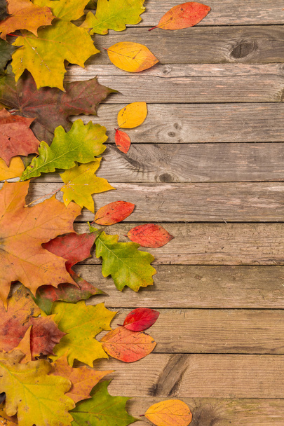 Leaves on a wooden background - Foto, Imagen