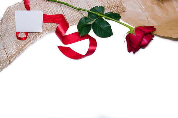 Belles roses rouges sur fond blanc avec espace pour envoyer des textos
 - Photo, image