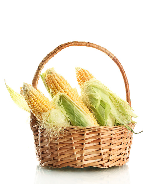 fresh corn in basket, isolated on white - Foto, Imagem