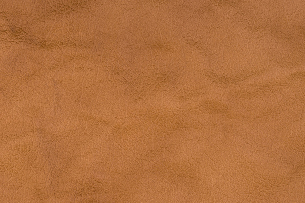 Přírodní hnědá kůže textura - Fotografie, Obrázek