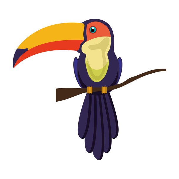 toucan bird animal - Vector, afbeelding