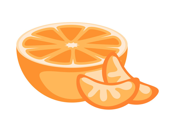 Half Orange and Slices Vector - Vecteur, image