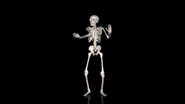 σκελετός ντίσκο χορό - λευκό - αντικατοπτρίζοντας την έδαφος - cgi - Πλάνα, βίντεο