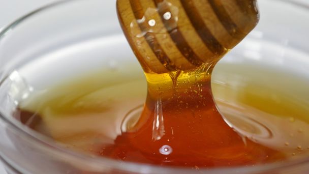 dish of honey  - Foto, Bild