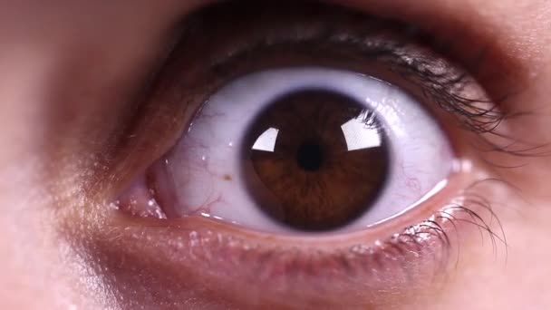 Olho de mulher avelã
 - Filmagem, Vídeo