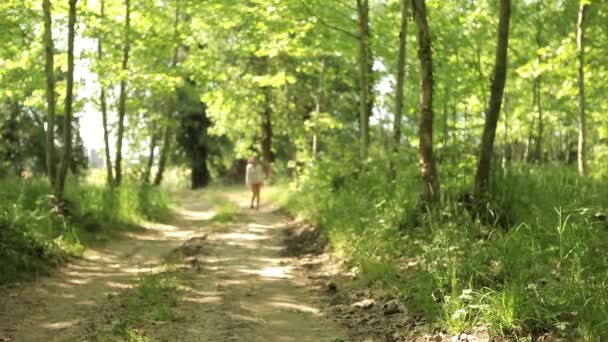 κοπέλα περπάτημα στο δάσος - Πλάνα, βίντεο