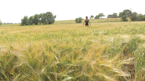 Menina andando no campo de trigo maduro
  - Filmagem, Vídeo