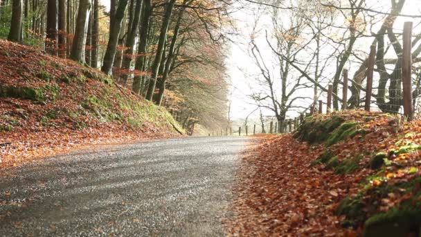 sonbahar kırsal yol - Video, Çekim