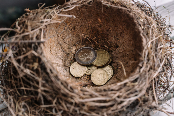 Монети євро в гніздо. - Фото, зображення