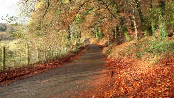 Camino rural de otoño
 - Metraje, vídeo