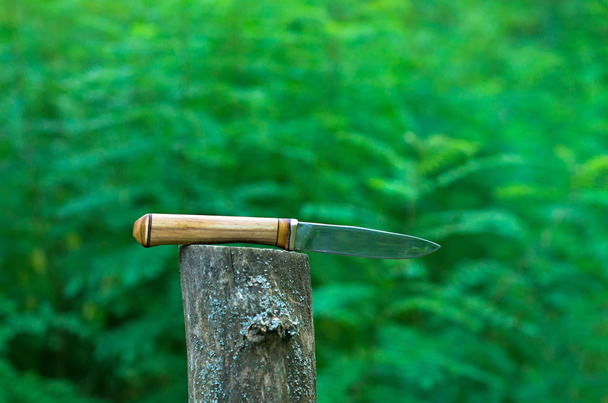 hunting knife stuck in a stump - Foto, afbeelding