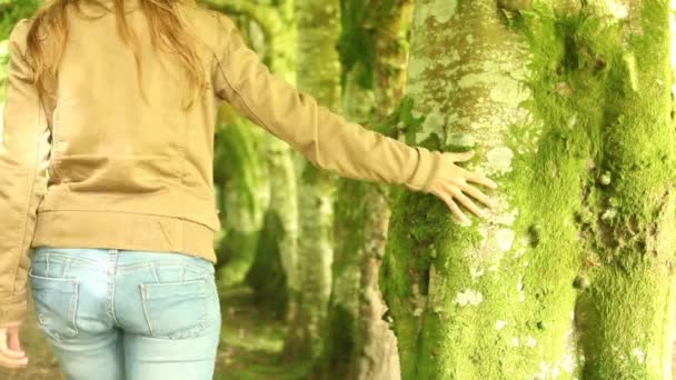Frau spaziert zwischen großen alten Bäumen - Filmmaterial, Video