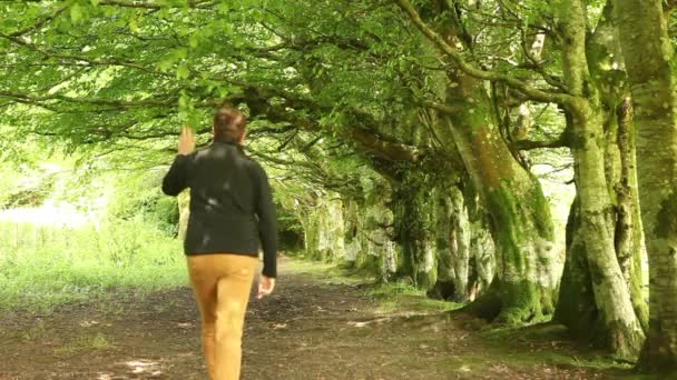 man lopen onder grote oude bomen - Video