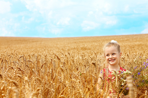 Child in wheat field. - Photo, image
