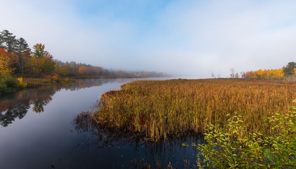 Brume matinale s'élève hors de l'eau chaude dans l'air frais sur le lac Corry, Ontario, Canada
.  - Photo, image