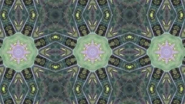 Mosaik fraktale geometrische Kaleidoskopie  - Filmmaterial, Video