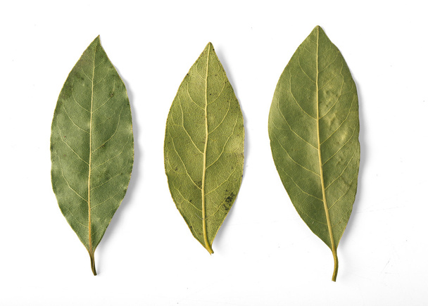 Αποξηραμένα φύλλα δάφνης απομονωμένες  - Φωτογραφία, εικόνα