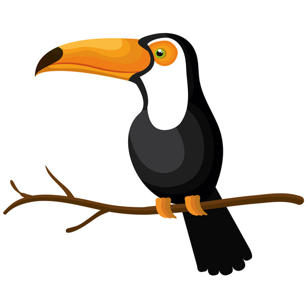 toucan bird isolated icon - Διάνυσμα, εικόνα