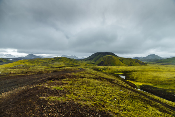 Dark Iceland landscape with green moss - Fotografie, Obrázek