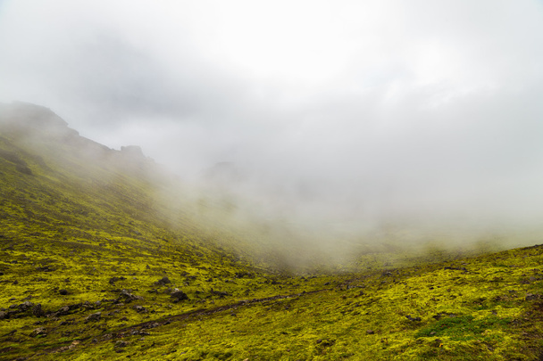 Foggy with in a Iceland - Fotoğraf, Görsel